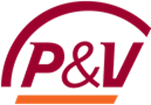 Logo Van Partners (2)